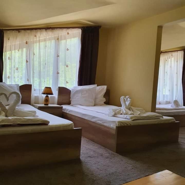 Pensiunea Mirela Pestera Ursilor Chiscau Exteriör bild